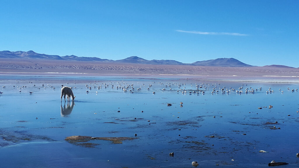 Viaggio in Bolivia