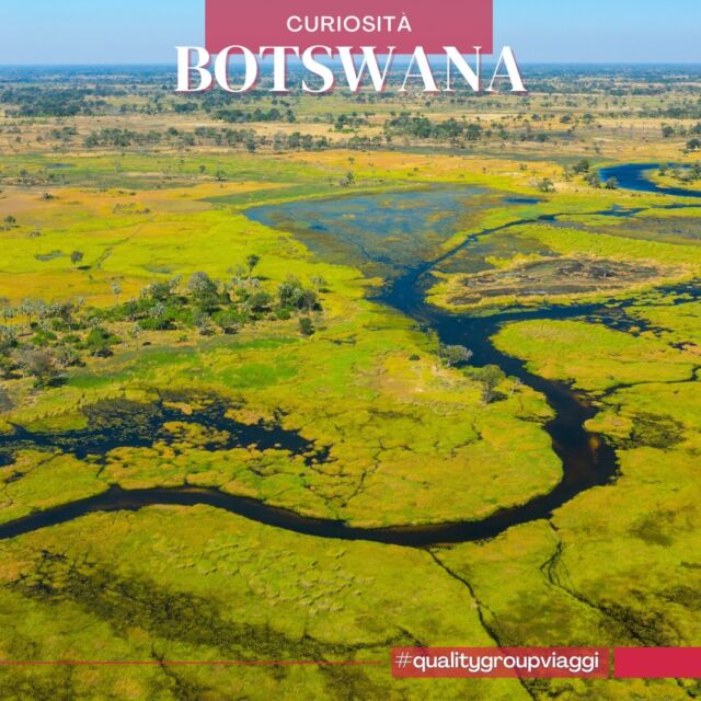 ❓ #Losapeviche... in #Botswana la barca tradizionale per navigare attraverso il Delta dell'Okavango è chiamata "mokoro"? 🛶

Originariamente ricavata da tronchi di ebano o kigelia, oggi più comunemente realizzata con fibra di vetro, la pittoresca canoa è uno dei mezzi privilegiati negli emozionati safari acquatici che caratterizzano questo straordinario santuario UNESCO di biodiversità africana 🌿🦛

🐘 Grandi mammiferi, felini 🐆, rettili e un'ampia varietà di uccelli hanno trovato il loro habitat ideale in questo labirinto di canali, lagune e isole nella pianura alluvionale dell'omonimo fiume, che nasce in Angola e muore nel deserto del Kalahari senza mai raggiungere il mare 🌊

Un'esperienza unica per esplorare a ritmo lento, avvicinandoti senza filtri alla natura che qui si muove indisturbata, magari da unire a un sorvolo mozzafiato per ammirarla anche dall'alto 🛩️

👉 Contattaci per approfondire tutti i dettagli che rendono il tour qui, uno dei viaggi da fare almeno una volta nella vita 🌍✨ 

#prenotainagenzia #qualitygroupviaggi #VisitBotswana #deltaokavango #viaggisumisura #viaggidigruppo #travelinspiration #africanwildlife #takemoreadventures #weareitaliantravellers #ecoturismo #turismonatura
