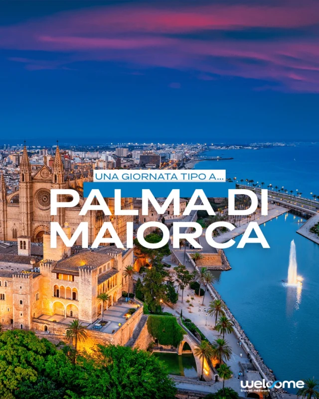 📍 Salva questo post per il tuo prossimo viaggio a Palma di Maiorca!

È un’isola che sa essere tutto: romantica, selvaggia, elegante e autentica.

🌅 Tramonti sulle scogliere, 🏖️ calette segrete, 🚲 gite in bici tra borghi e uliveti, 🍷 tapas e vino locale, 🕍 storia e arte tra i vicoli di Palma.
Maiorca non è solo mare: è un viaggio dentro l’estate.

E tu, da dove inizieresti il tuo?
👇 Commenta con una emoticon per dirci la tua esperienza da sogno! Poi corri a trovarci in Agenzia Viaggi.

~
#viaggiare #agenziaviaggi #touroperator #vacanzeitaliane #travelplanner #travelblogger #travelgram #wanderlust #maiorca #spagna